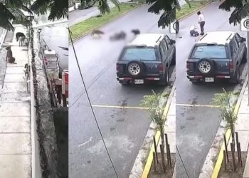 Una mujer es derribada por tres perros en plena avenida de San Nicolás